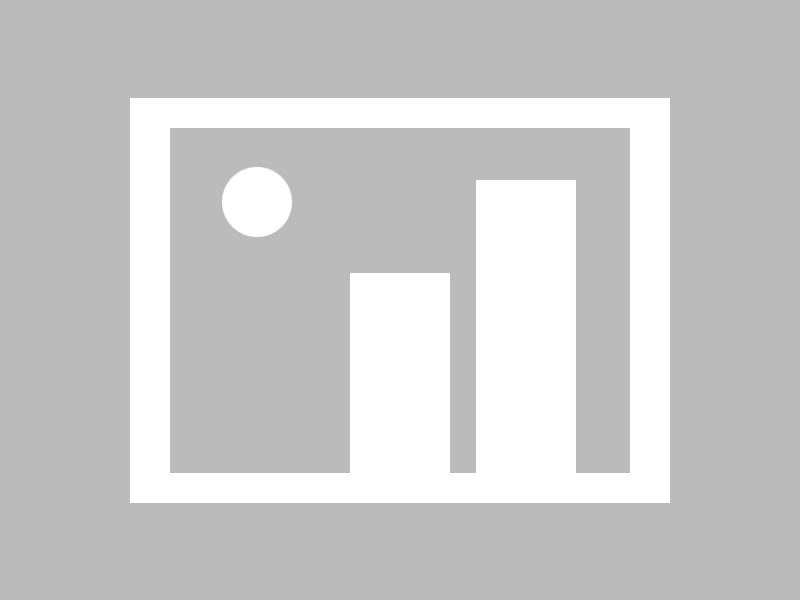 张伟丽回击外界质疑称用成绩说话，张伟丽什么水平 知乎