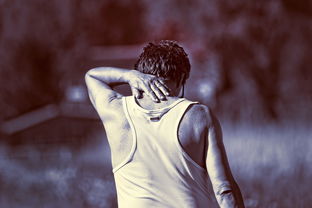 美洲杯激情四溢：逆境中迎难而上！，美洲 杯